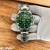 Rolex Submariner AA+ Semiautomatico - Verde y Plateado - comprar online