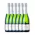 Caixa com 6 garrafas - Ophicus Brut - comprar online