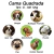 Cama Quadrada para Cachorro/Gatos Super Luxo Luppet Cinza