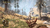 FAR CRY PRIMAL - APEX EDITION PS4 - Bitplay