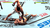 UFC® 5 Deluxe Edition PS5 - Bitplay