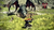 Imagen de Dragon's Dogma 2 PS5