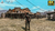 Red Dead Redemption 1 PS5 - Bitplay