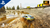 DIRT 5 PS5 en internet