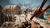 FAR CRY 4 + FAR CRY PRIMAL BUNDLE PS4 en internet