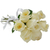 Buquê 6 Rosas Brancas - comprar online