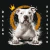 Camiseta American Pit Bull Terrier Branco | Camiseta Cachorro American Pit Bull Terrier Branco - loja online
