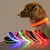 Imagem do Coleira led para cães, coleira anti-perda para cães, filhotes noturnos, suprim