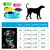 Imagem do Coleira led para cães, coleira anti-perda para cães, filhotes noturnos, suprim