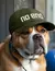 GORRA NO END 3D (43970) - tienda online