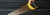 Banner de Faysan