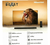 Barra De Sonido Hisense Hs2100 2.1 - tienda online