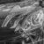 ROLLO PPF ➡️ 6,5mm - Sportive Exclusive Car