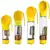 Garrafa de água para Pet 4 em 1 - GoPet - ClickMania Home & Pet