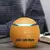 2024 novo umidificador de vaso de madeira usb carro escritório casa cor luz not - loja online