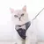 Coleira peitoral para cachorro/gatos pet colete sml com guia