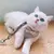 Coleira peitoral para cachorro/gatos pet colete sml com guia na internet