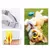 Focinheira Bico De Pato Em Silicone Para Cachorro /Cães Pet - loja online