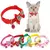 Coleira Para Gato e Cachorro com laço - comprar online