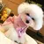 Pijama para pet - comprar online