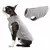 Roupas de inverno velo para cães