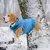 Imagem do Roupas de inverno velo para cães