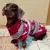 Roupa de inverno