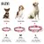 Coleira de cachorro personalizada - loja online