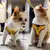 Colete para pet com sino - loja online