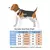 Colete para pet com sino - comprar online