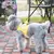 Colete ajustável de abelha para cachorros
