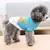 Imagem do Roupa de inverno