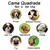 Cama para Cachorro Quadrada Impermeavel Luppet Bege Pets - loja online