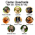 Kit Enxoval Luxo para Cachorro 100% Impermeavel Luppet Bege Pets - loja online