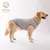 Roupa de cachorro bandeira americana - Petnessence