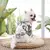 Roupa havaiana - comprar online