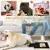 Placa de proteção para unhas de cachorro na internet