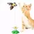 Varinha de gato de penas de pássaros com sino - loja online