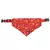 Imagem do Bandana para cachorros
