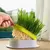 Pote de crescimento de plantas para gato