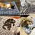 Cama do cachorro e gato fofa - comprar online