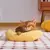 Imagem do Pequeno travesseiro para gatos