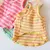 Roupas com estampa fofa para cães na internet