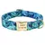 Coleira de cachorro personalizada
