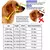 Focinho de cachorro ajustável anti-mordida - comprar online