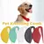 Pet Open Knot Comb Escova