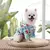 Roupa havaiana - Petnessence