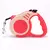 Trela retrátil para cães, 3m/5m - Petnessence