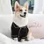 Pijama para pet - comprar online
