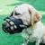 Focinho de cachorro ajustável anti-mordida na internet